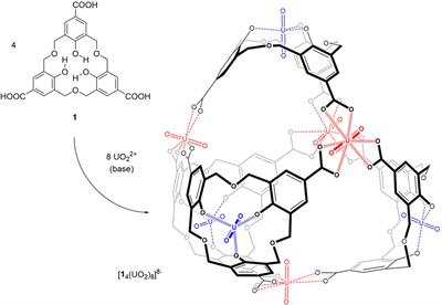 A tetrahedron from homooxacalix[3]arene, the fifth Platonic polyhedron from calixarenes and uranyl